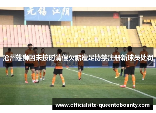 沧州雄狮因未按时清偿欠薪遭足协禁注册新球员处罚 沧州雄狮因未按时清偿欠薪遭足协禁注册新球员处罚